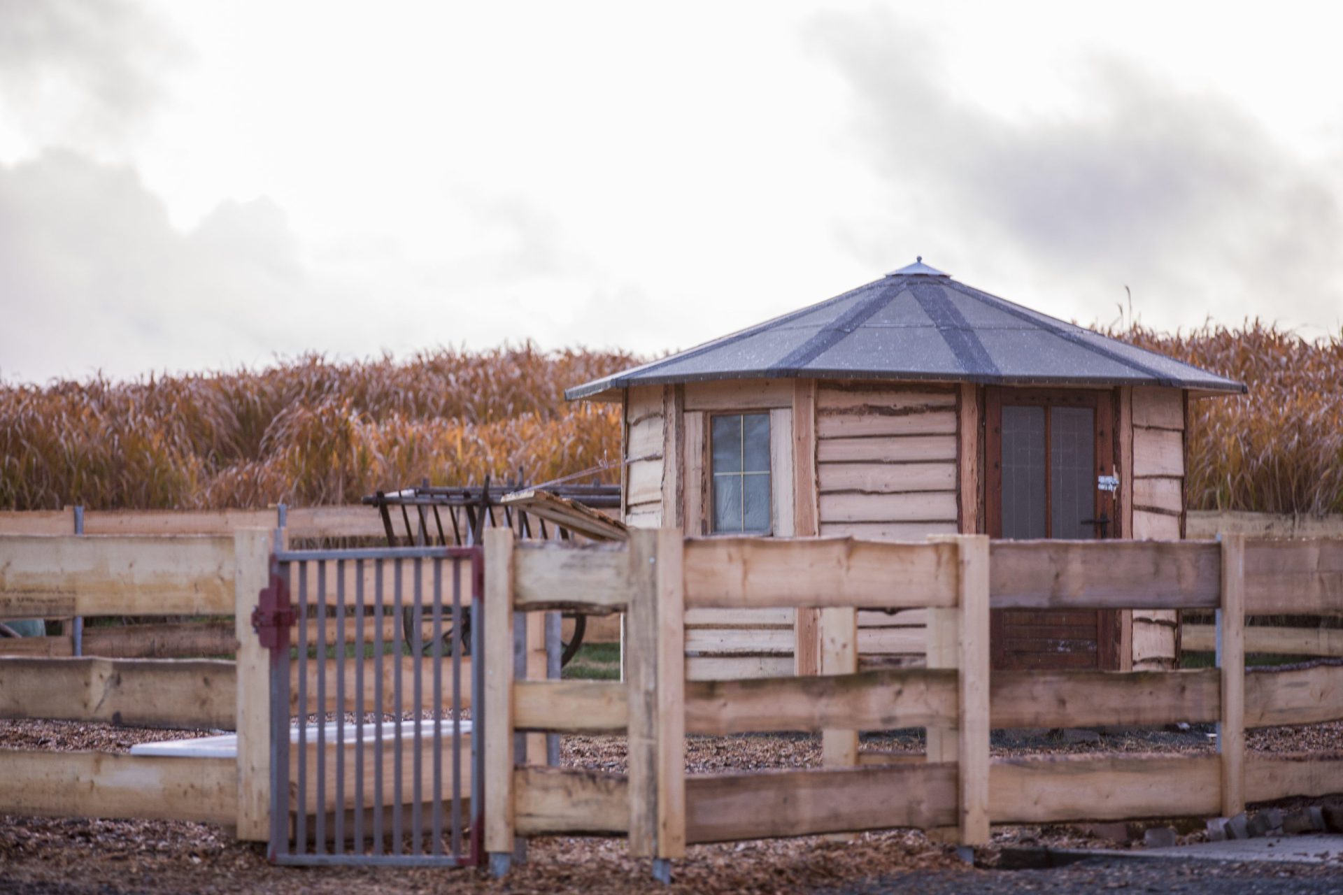 Holzpavillon am Feldrand